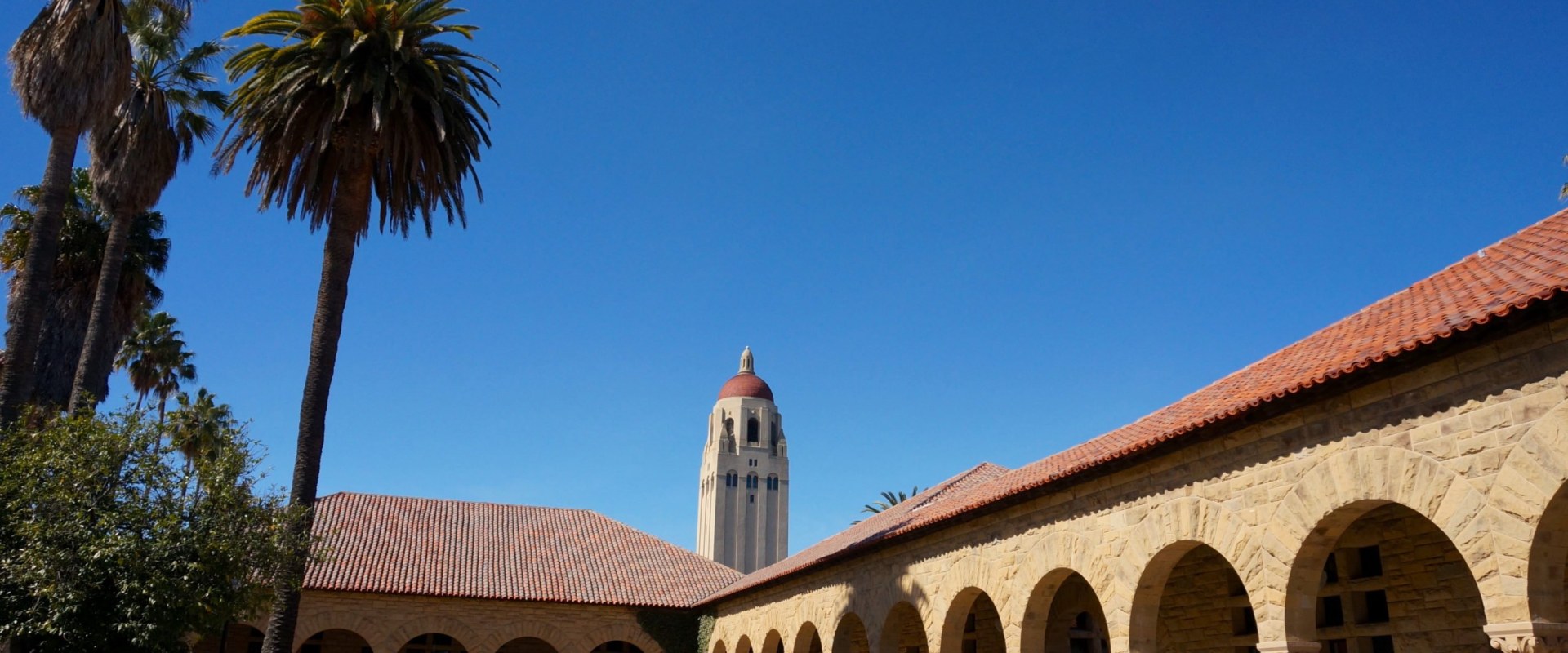 Exploring Stamford University: A Comprehensive Look into Degree Requirements and Course Offerings