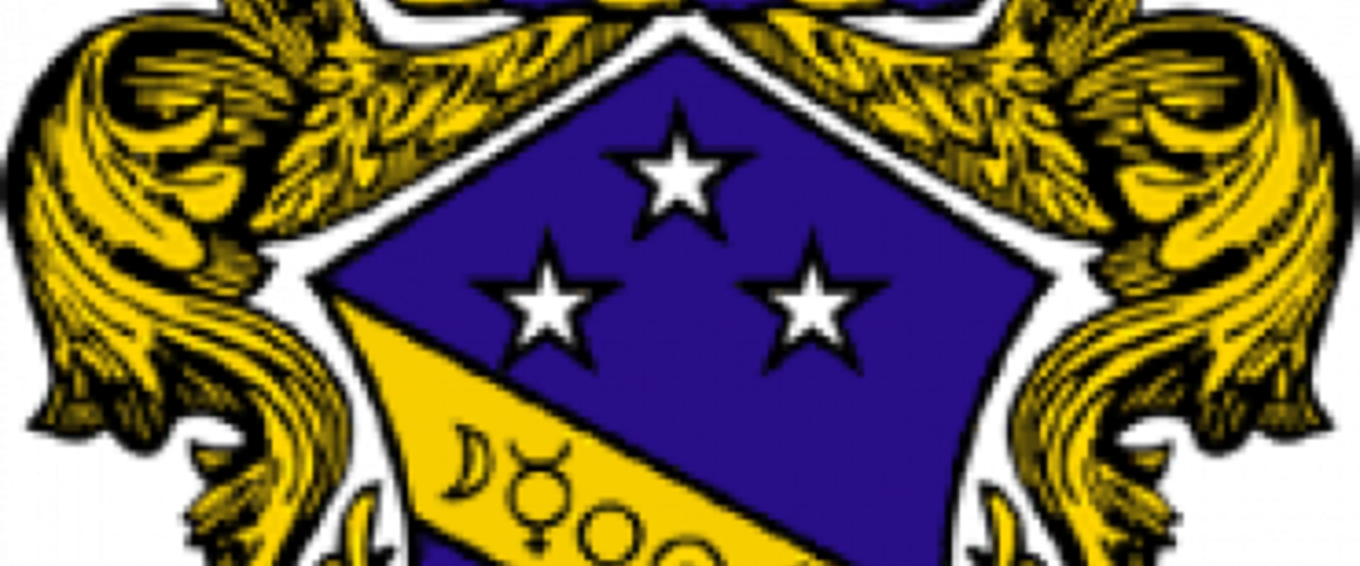 Types of Student Organizations at Stamford University