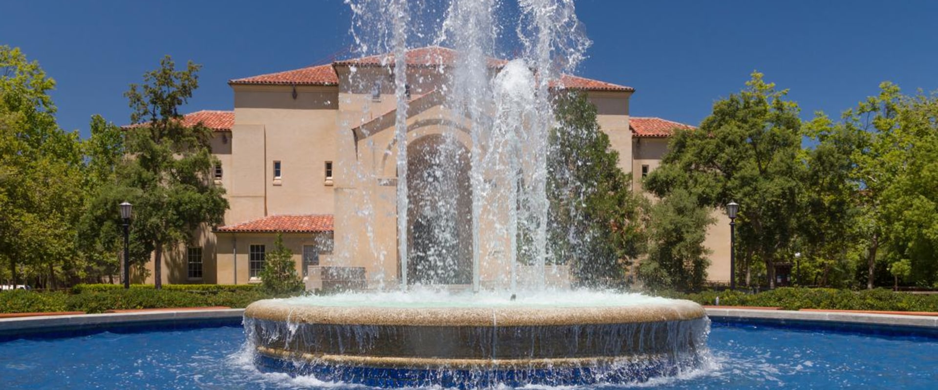 The Fascinating History of Stamford University: Everything You Need to Know